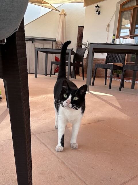 Boutique Hotel Cortijo El Sarmiento主图