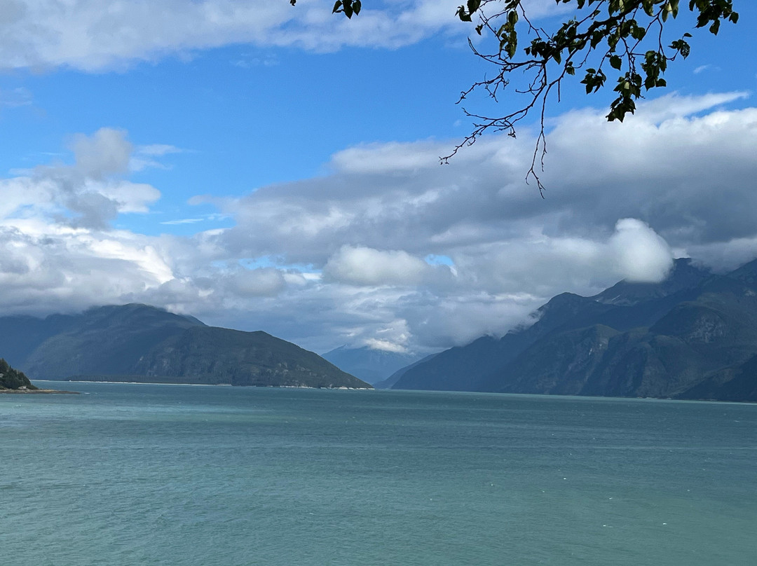 Sheltered Harbor主图