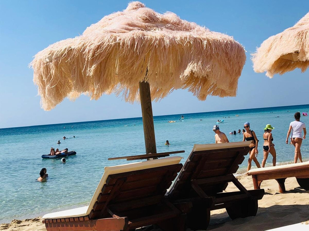 Samanà Beach景点图片