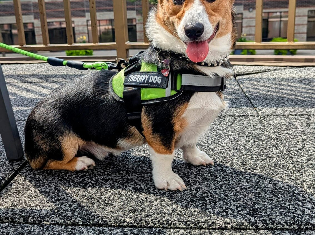 Nickel Plate Beach-Huron必去景点