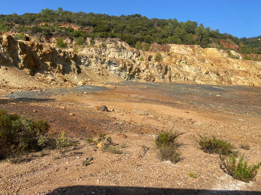 Elba Island Mining Park景点图片
