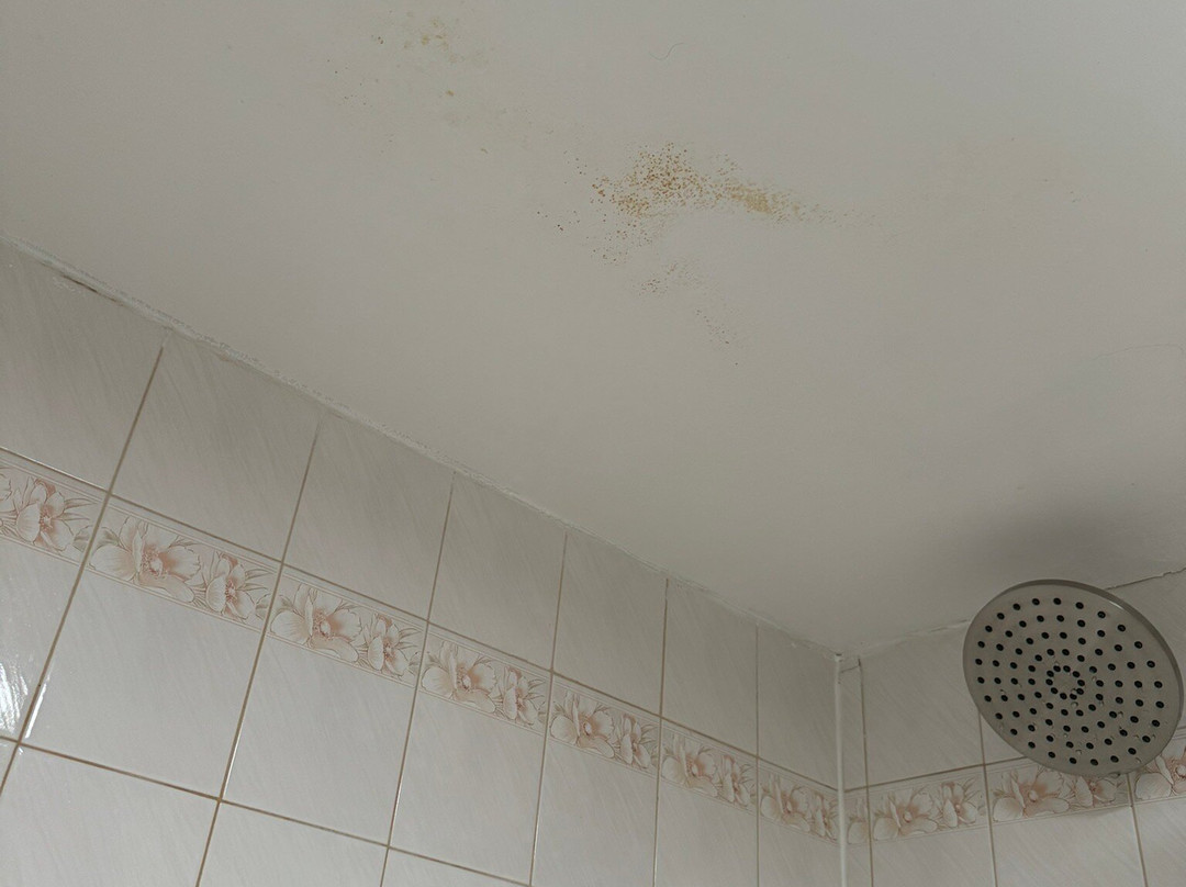 贝斯特韦斯特伍德布瑞酒店主图