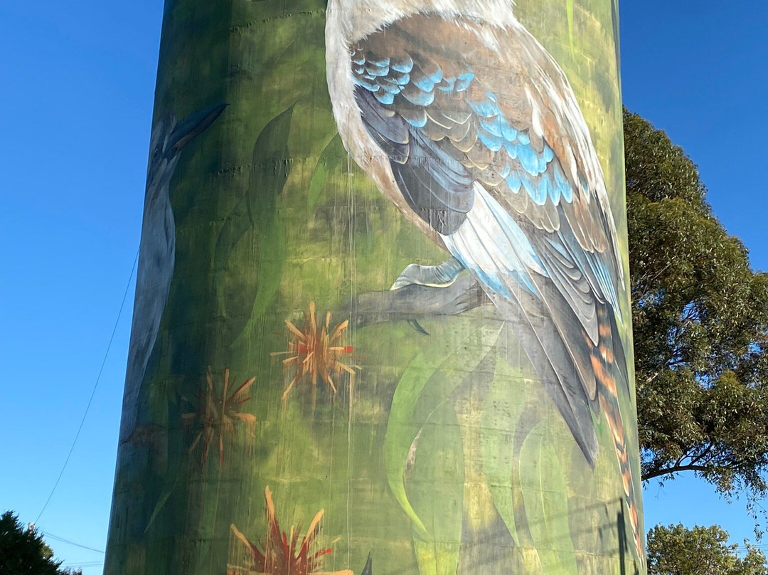 Deniliquin Water Tower Mural-Deniliquin必去景点
