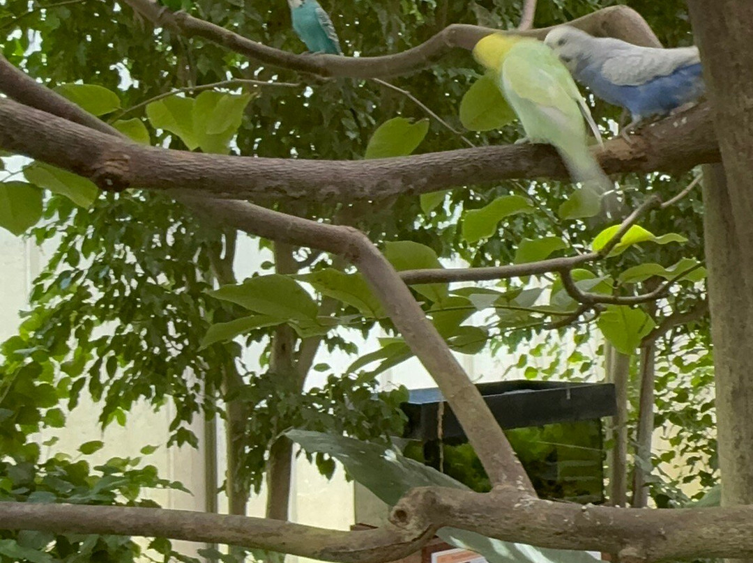 Casa delle Farfalle景点图片