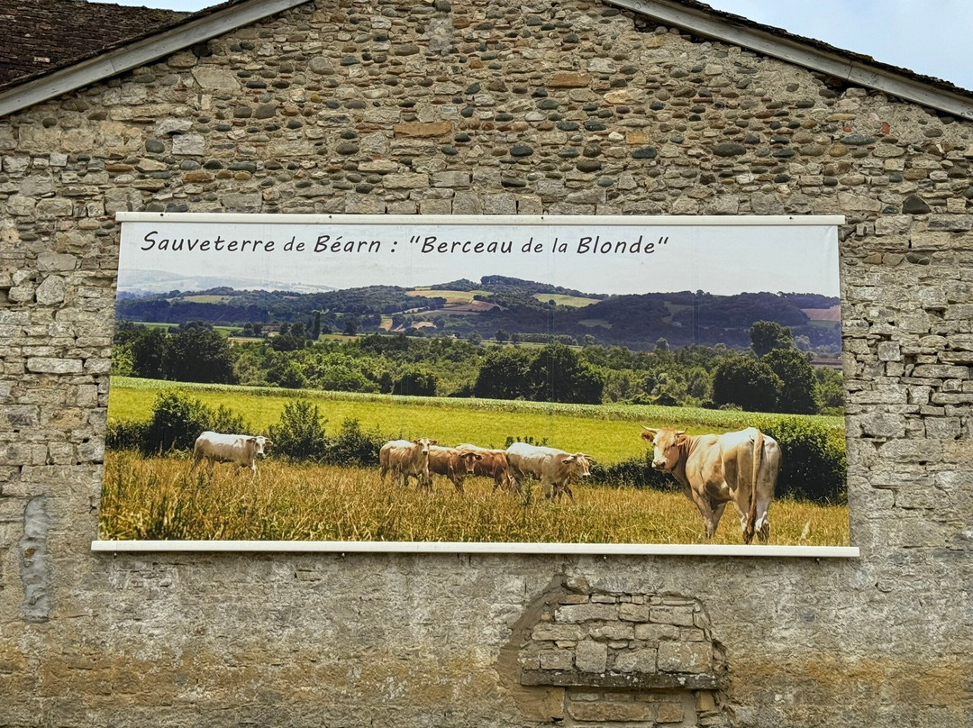 Sauveterre de Bearn景点图片