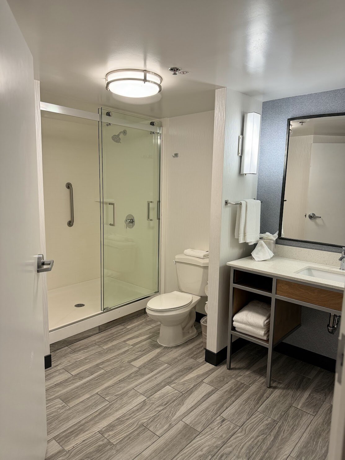 Hilton Garden Inn Atlanta North/johns Creek-浴室