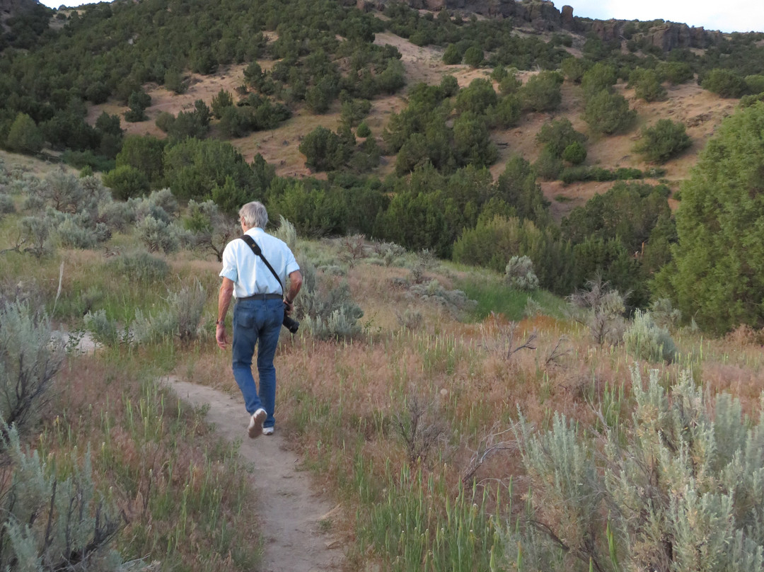 Cress Creek Nature Trail景点图片