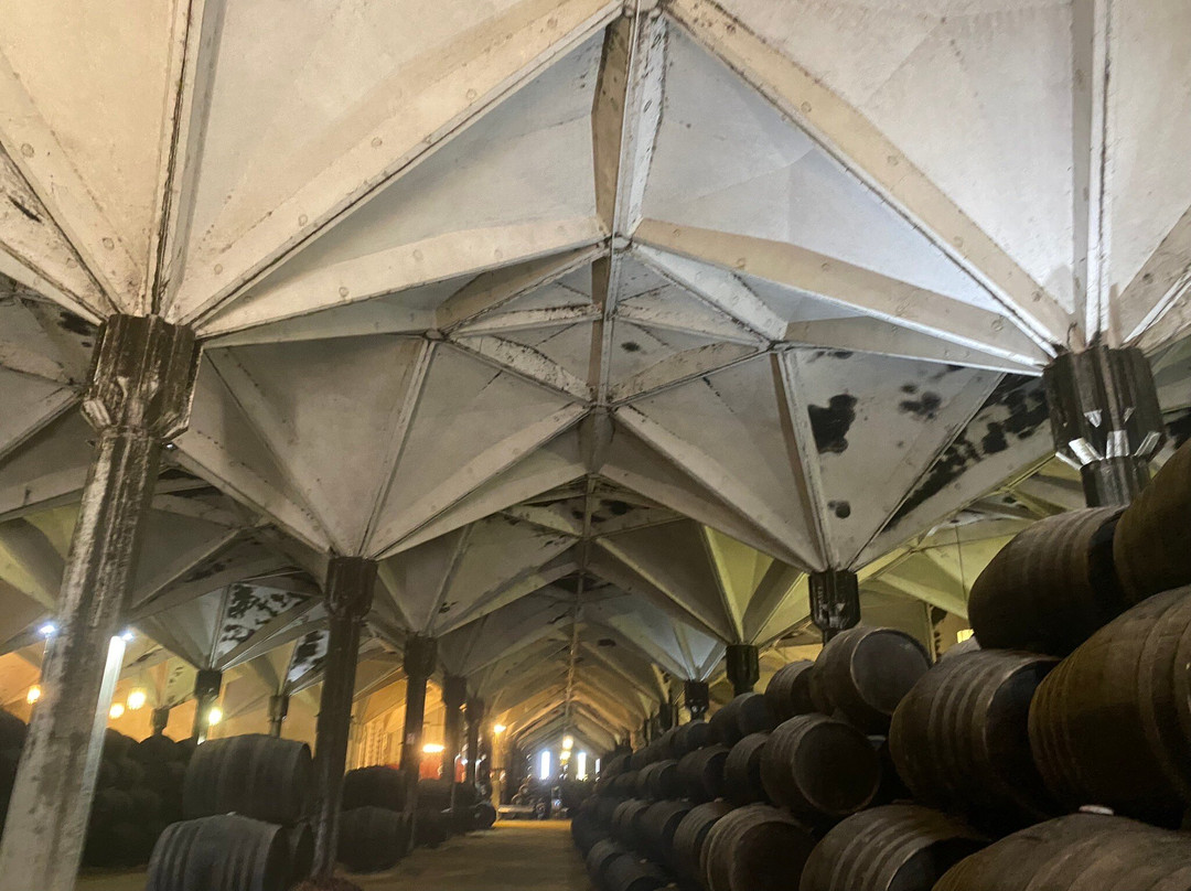 Bodegas Williams & Humbert景点图片
