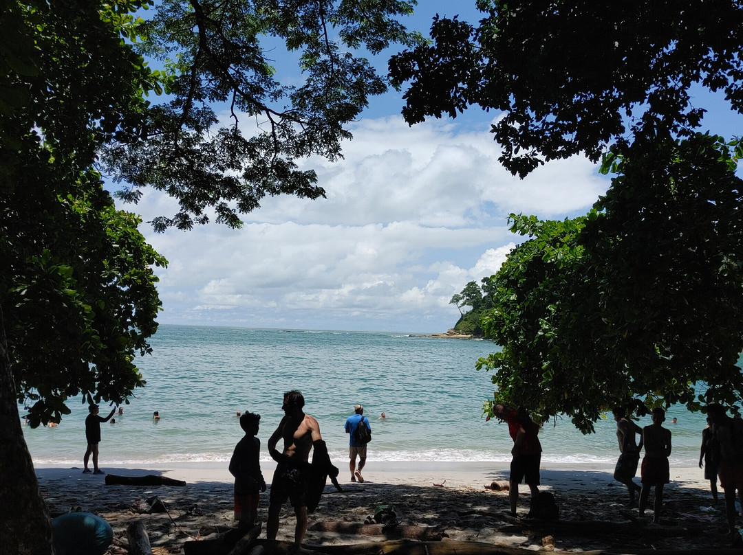 Pacific jungle adventures景点图片