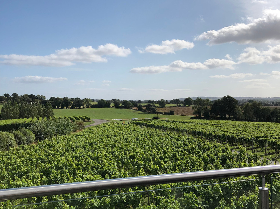Halfpenny Green Wine Estate景点图片