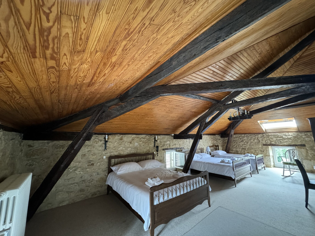 Hotel De France Et De Russie主图