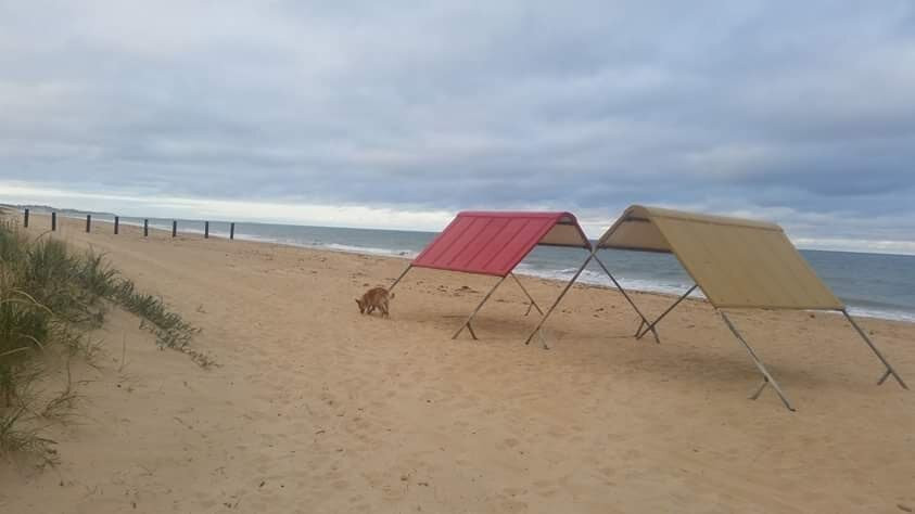Myalup Beach景点图片