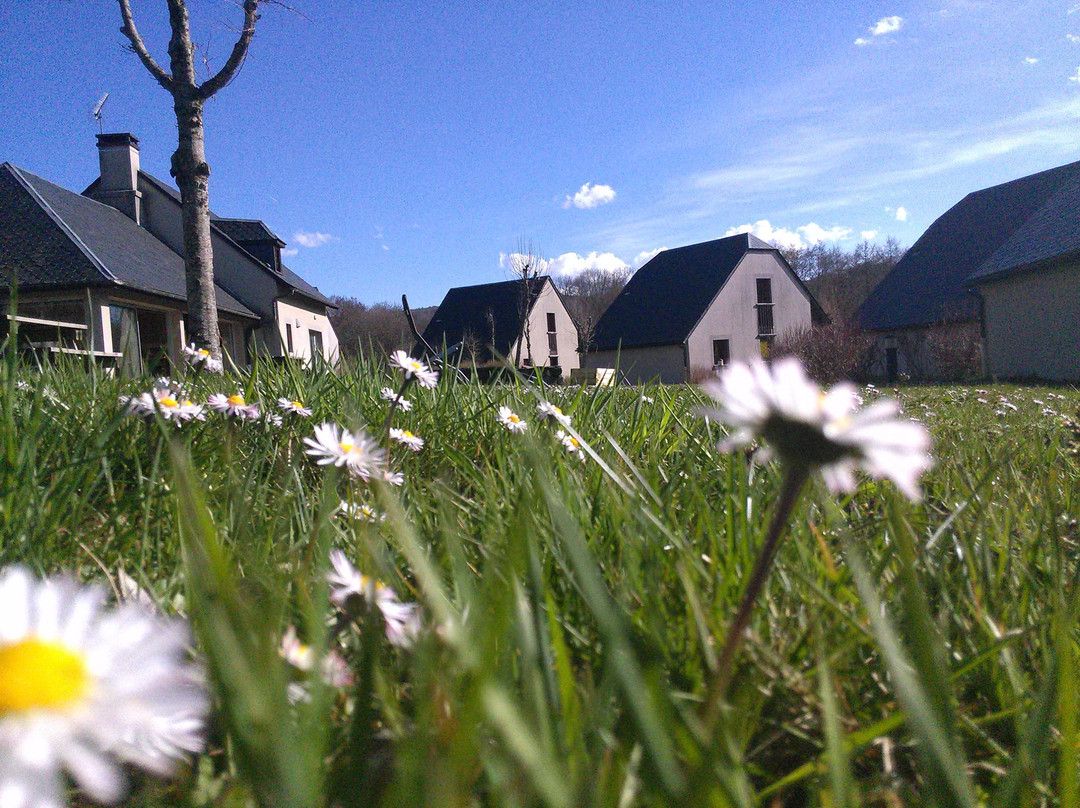 Cantal Emotions