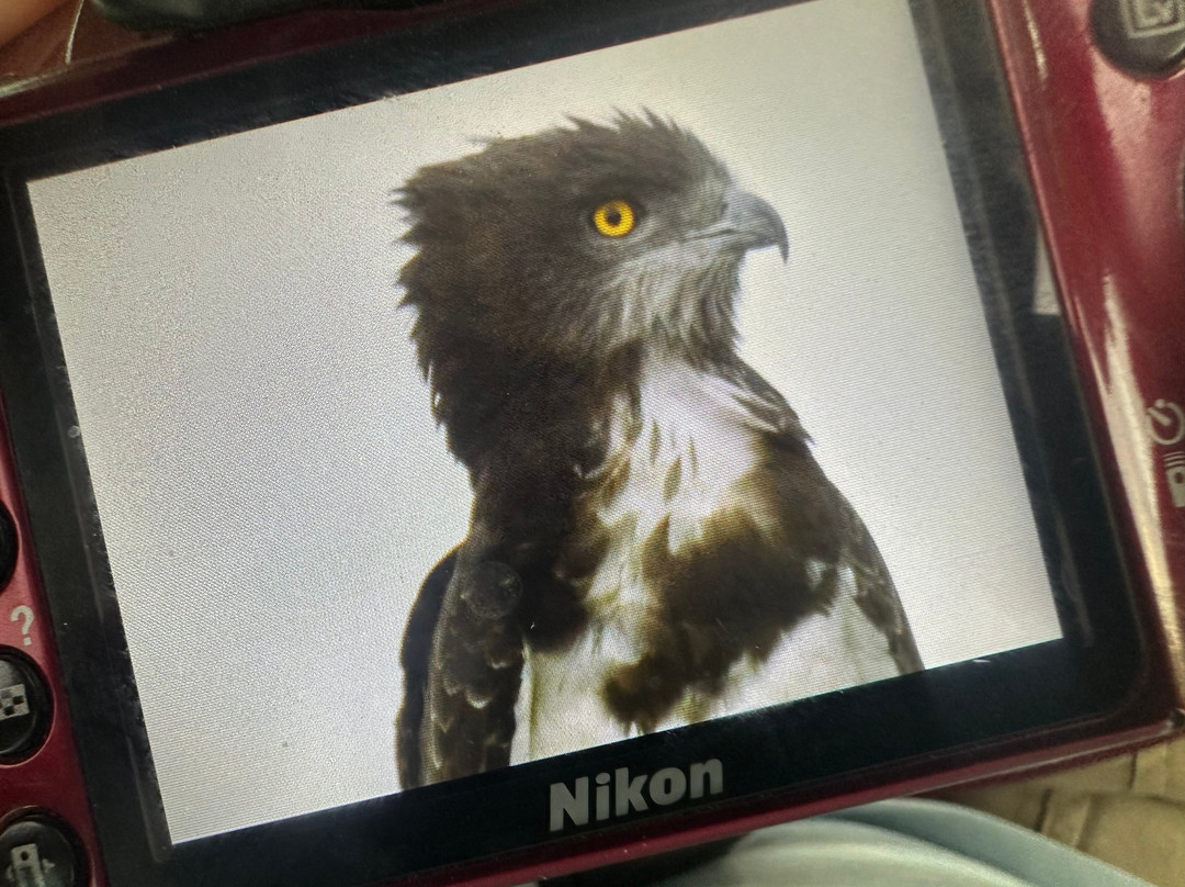 Unzip Africa-坎帕拉必去景点