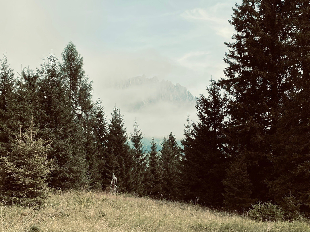 Aldiana Club Hochkonig主图