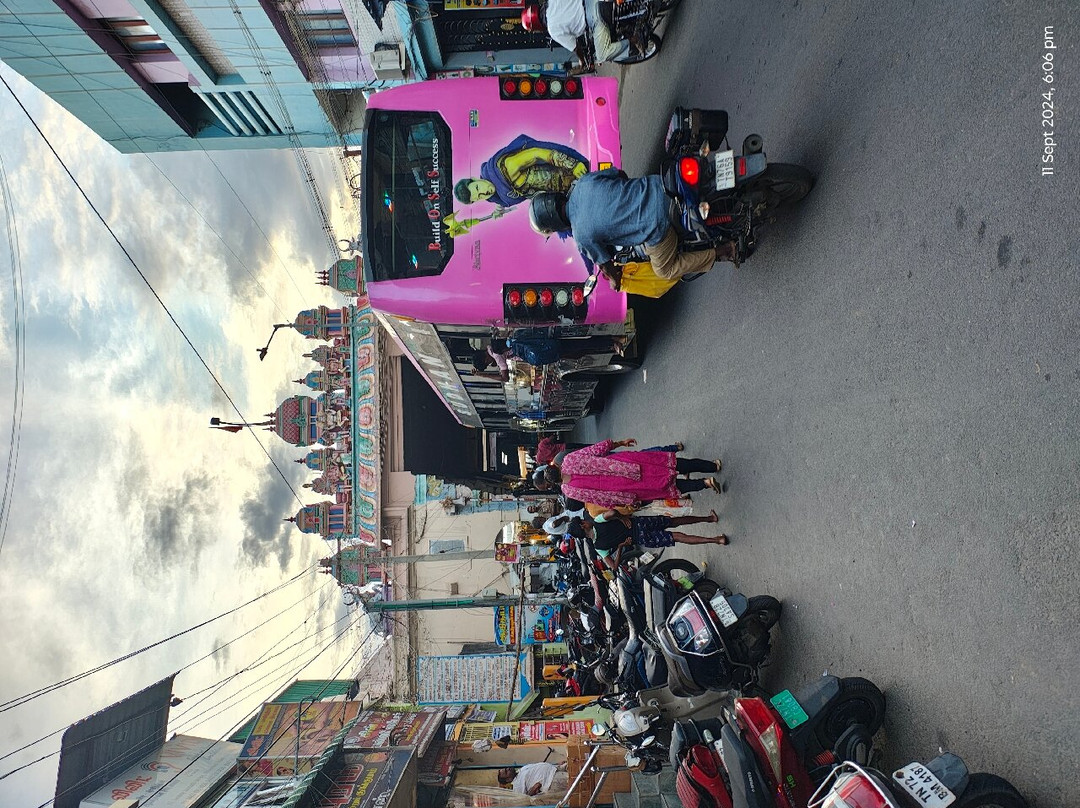 Arulmigu Nellaiappar Temple景点图片