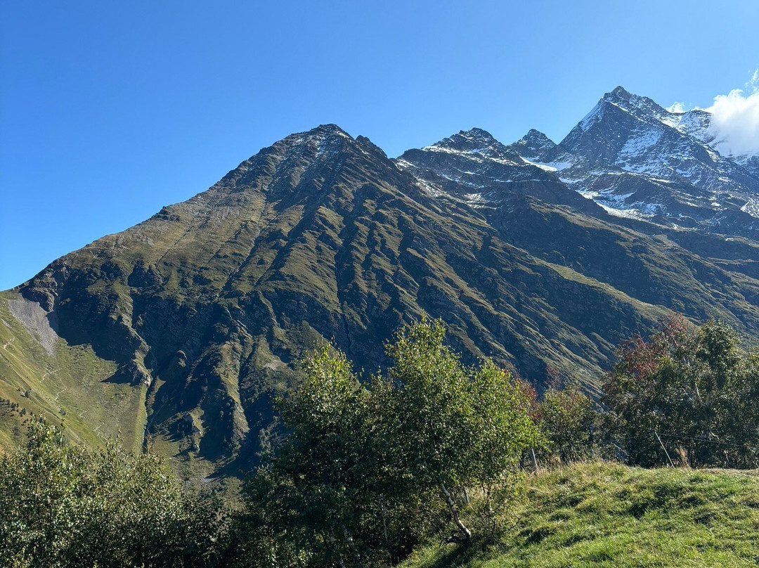 Compagnie des Guides de Chamonix-霞慕尼必去景点