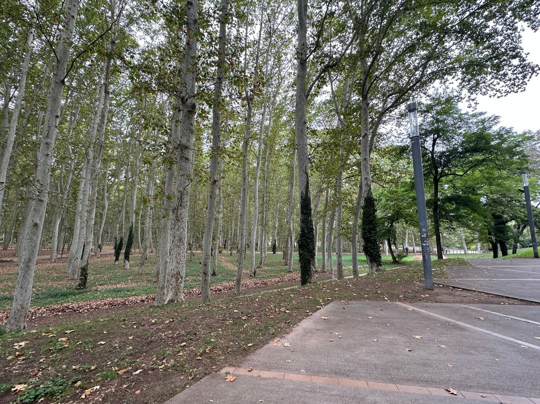 Parc de la Devesa景点图片
