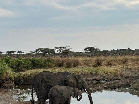 Wild Kings Africa-莫西必去景点