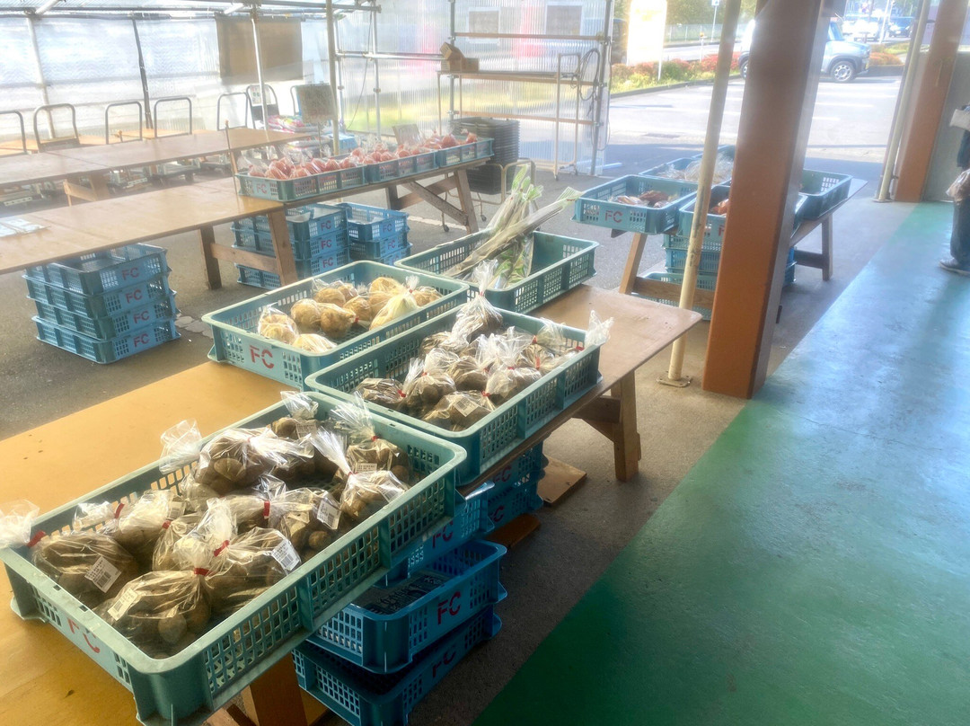 Michi no Eki, Fuyugakinosato Itonuki-本巢市必去景点