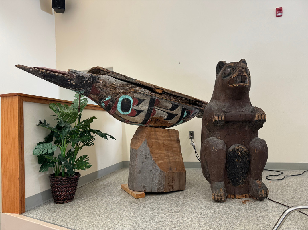 Cape Fox Tours-凯奇坎必去景点