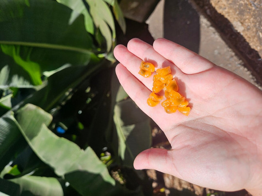 Martin Freitas Taxi Driver-沙尔必去景点