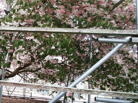 Nenohi Park-厚岸町必去景点