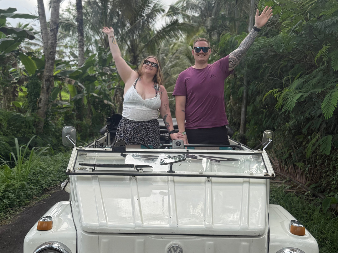 Bali Classic Tour - Private Day Tours-登巴萨必去景点