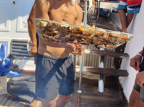 Hurghada Mermaid Tours-赫尔格达必去景点