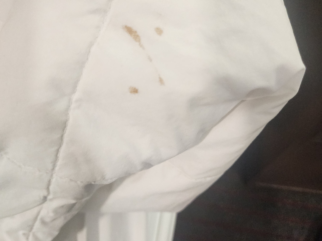 La Quinta Inn & Suites by Wyndham Seattle Federal Way主图