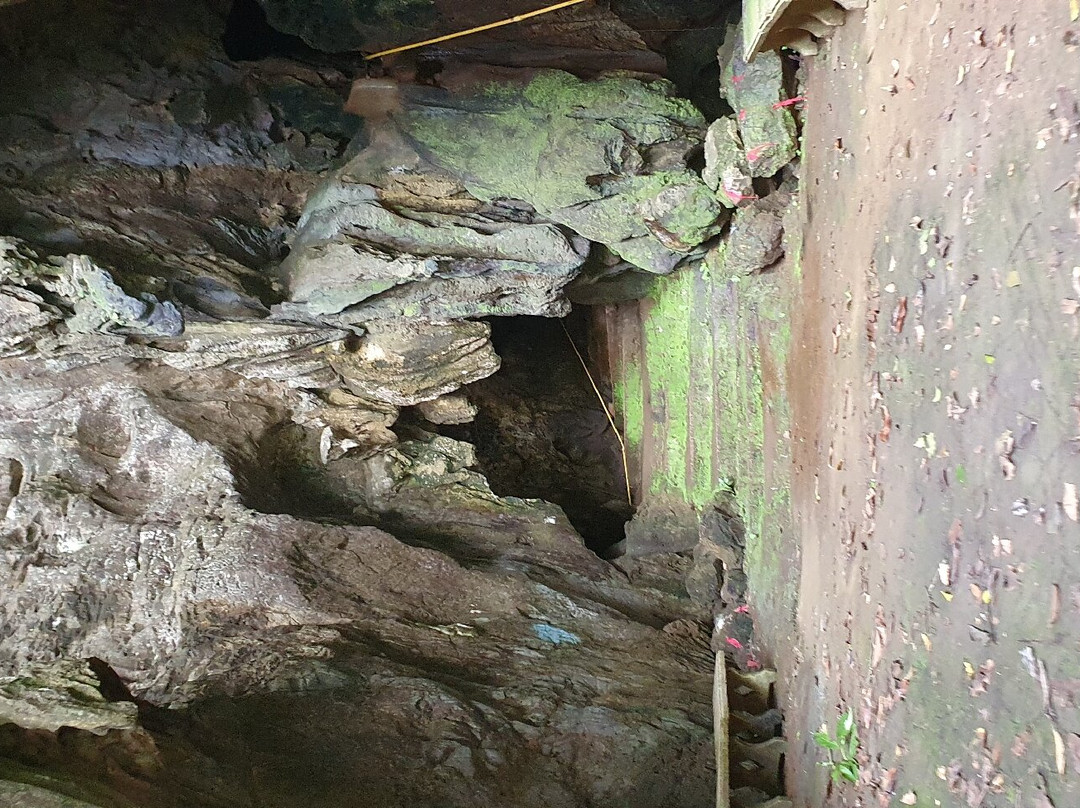 Wat Tham Pla (Fish Cave Temple)-美塞必去景点