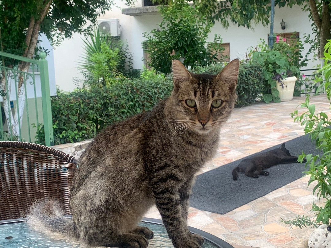 Harmony Resort主图