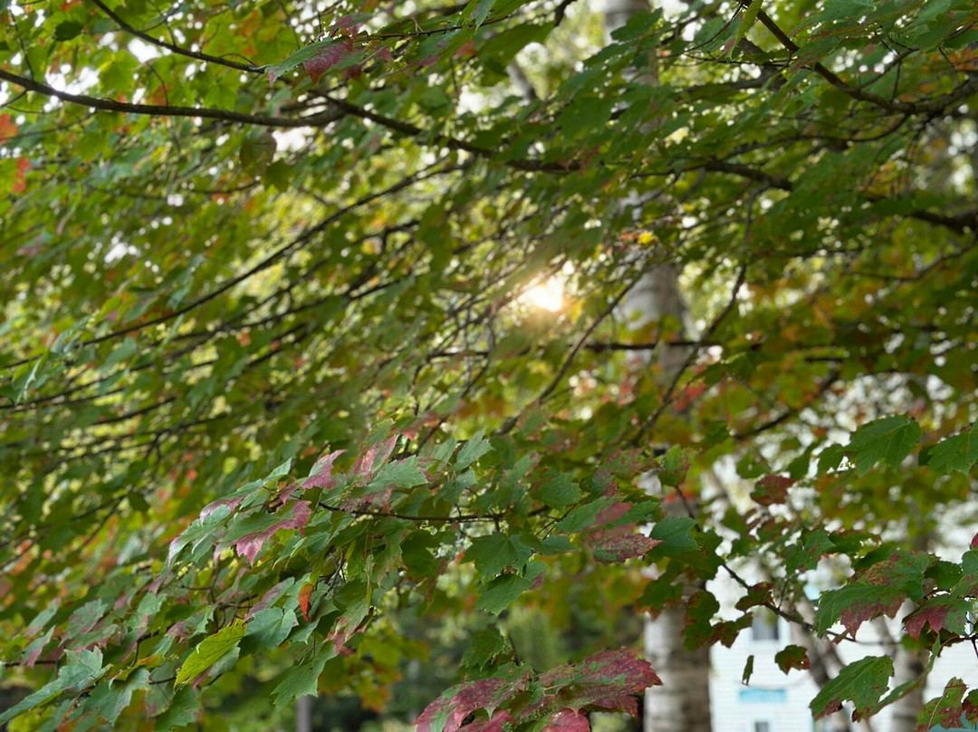 Wilson Lake Inn主图