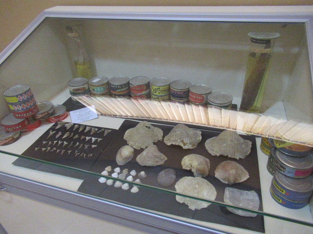 The Regional History and Aral Sea Museum-Muynak必去景点