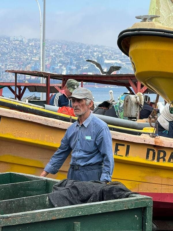 Caleta Portales-瓦尔帕莱索必去景点