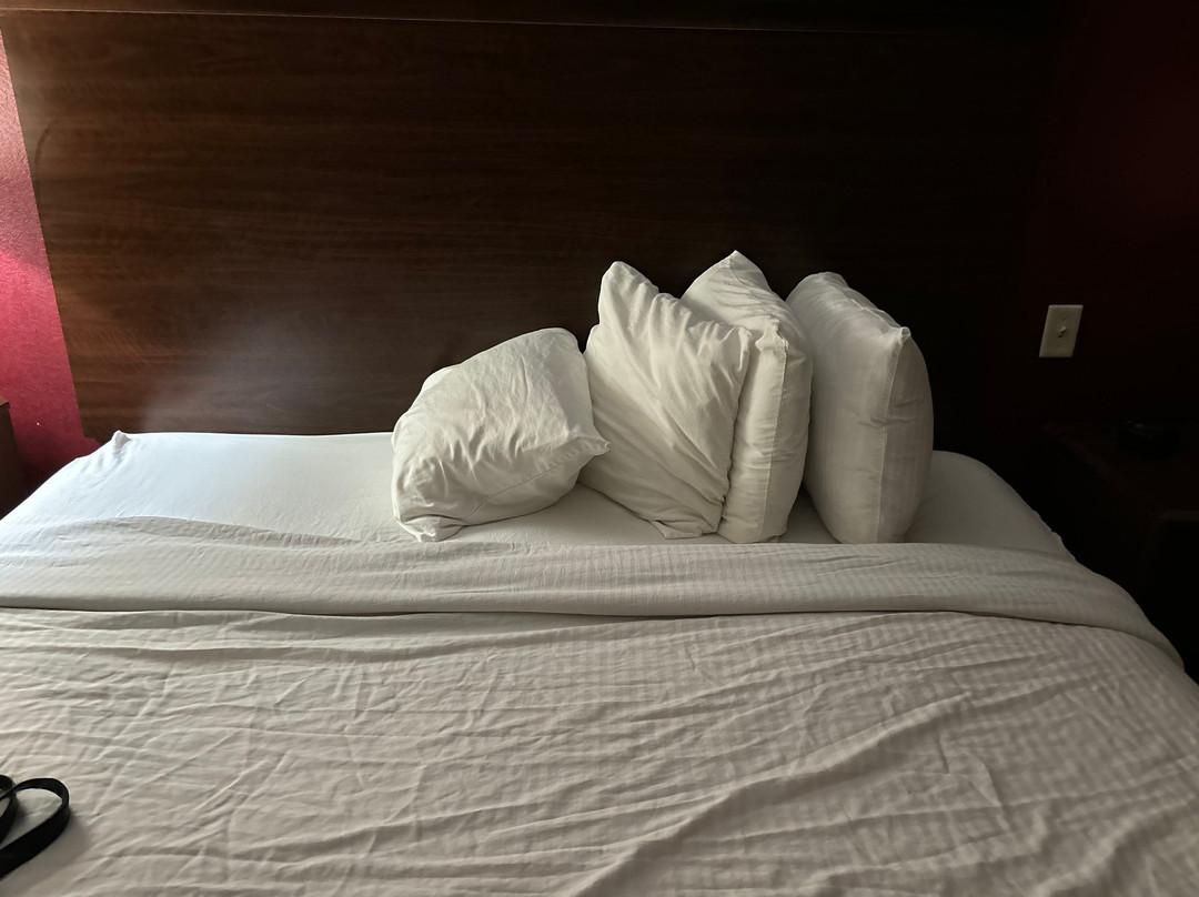 Best Western Plus Chandler Hotel & Suites主图