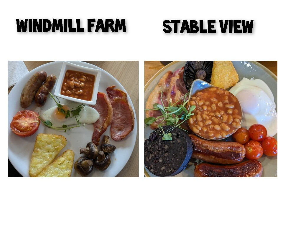The Windmill Farm