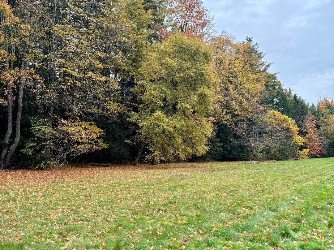 Farandnear Reservation-Shirley必去景点