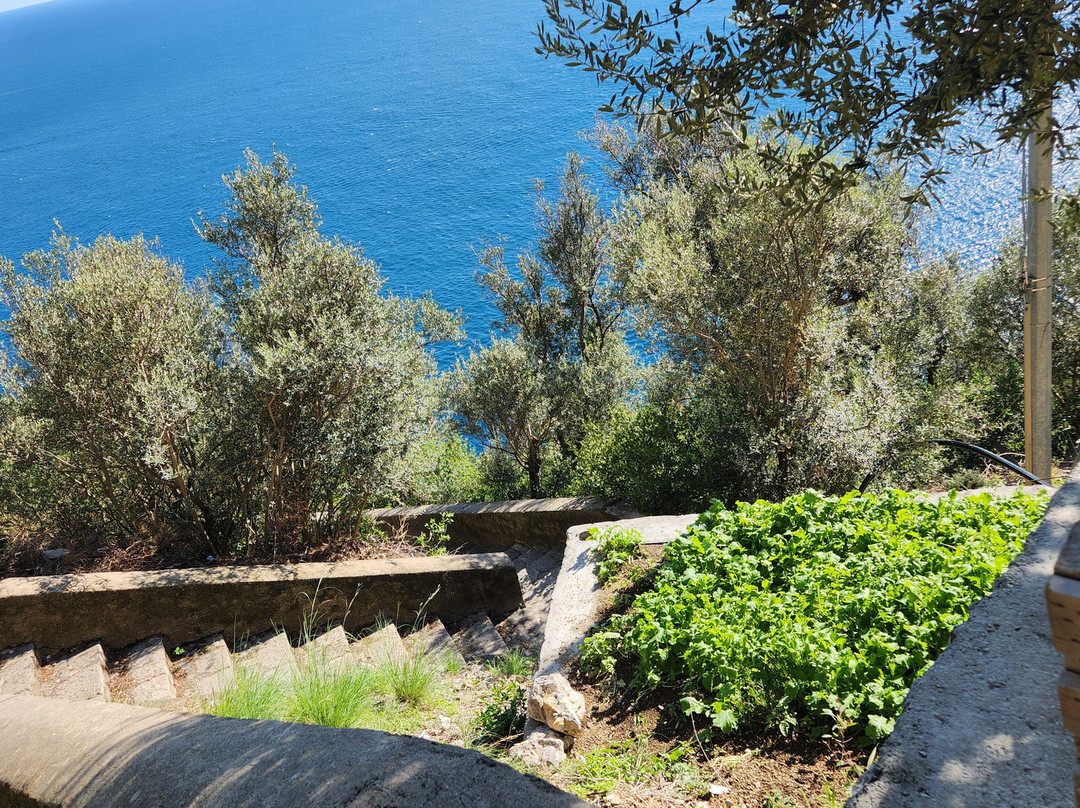 Valle delle Ferriere景点图片