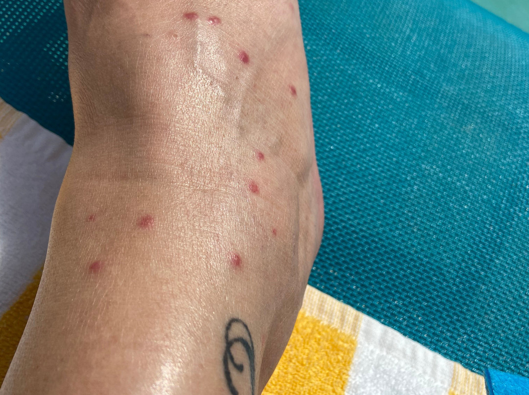 Corfu Club Apartments主图