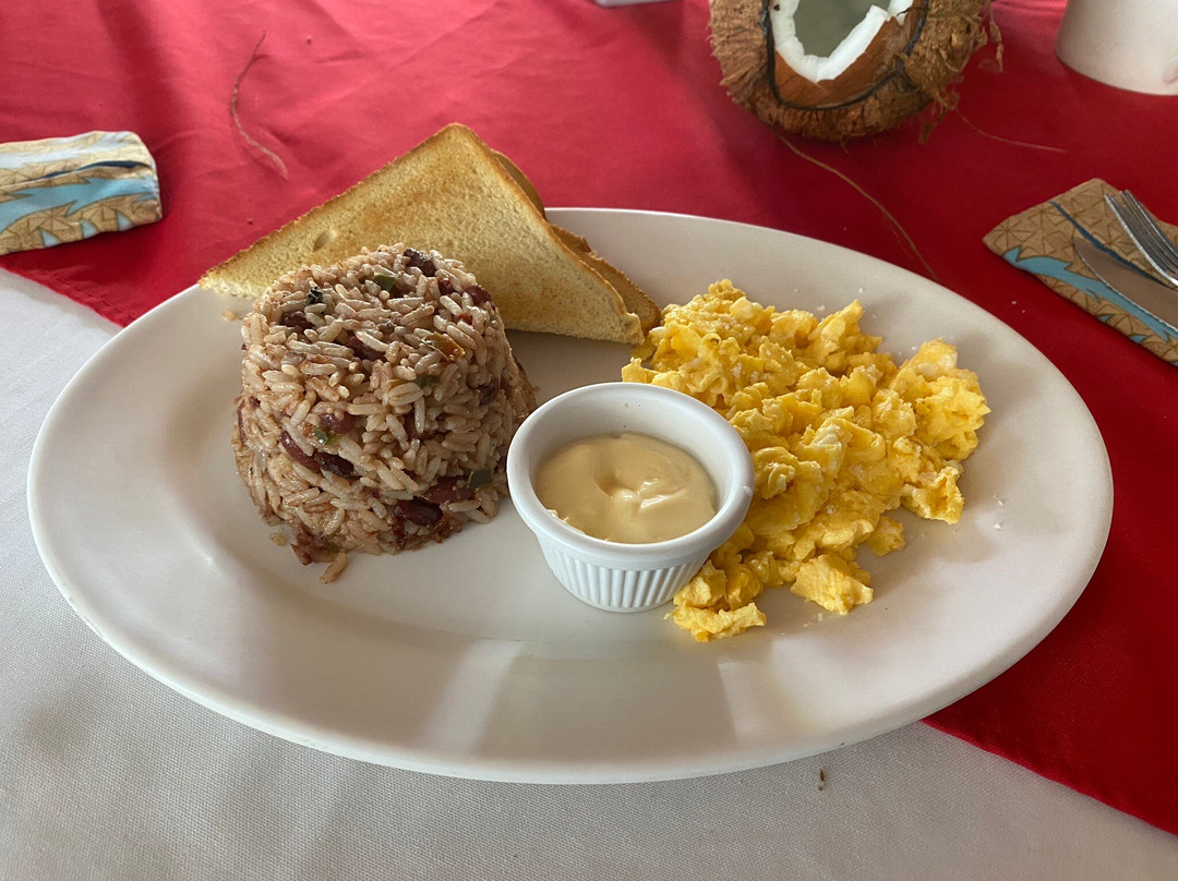 Hotel El Icaco Tortuguero主图