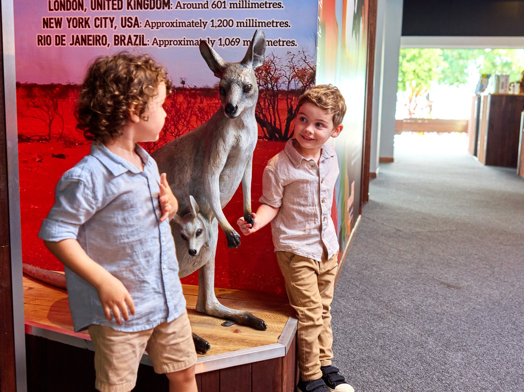 Cairns Koalas & Creatures-凯恩斯必去景点