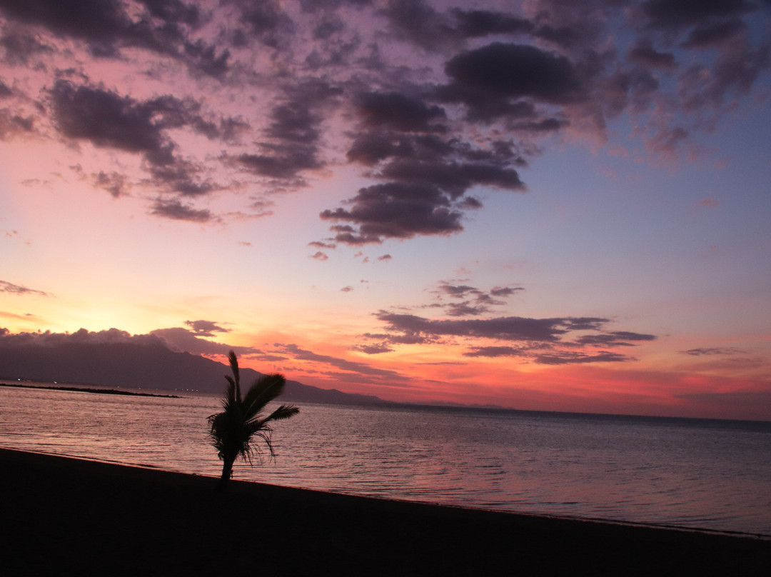 Coconut Garden Beach Resort主图