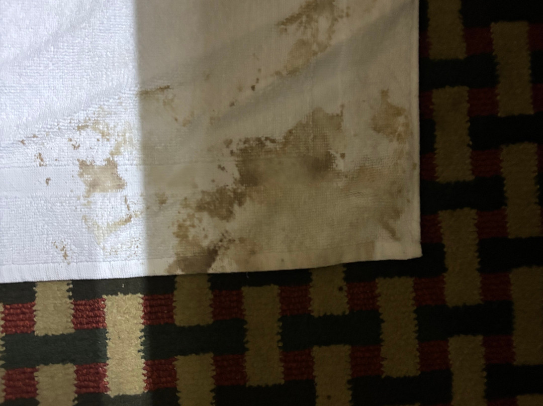 布拉德福德贝斯特韦斯特客栈酒店主图