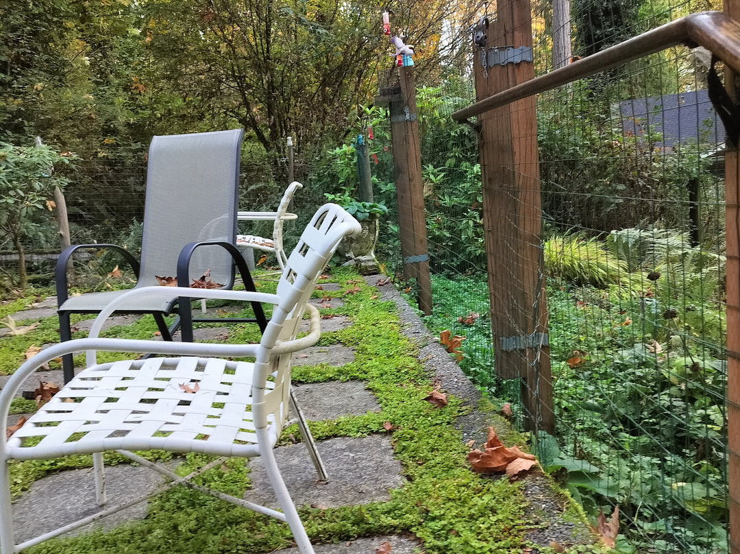 No Cabbages Bed & Breakfast主图