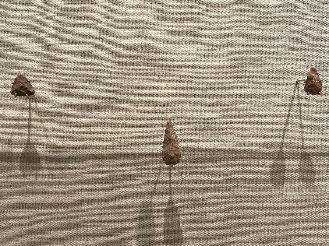 Agua Caliente Cultural Museum-棕榈泉市必去景点