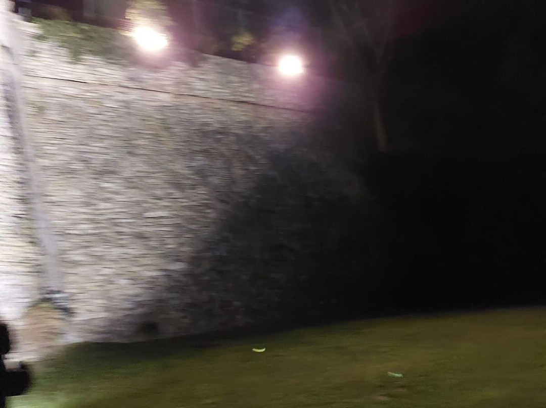 Castello di Scipione dei Marchesi Pallavicino景点图片