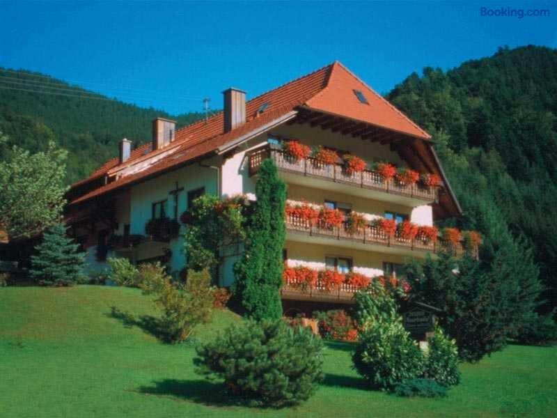 Elzach酒店住宿-Pension Mosertonihof