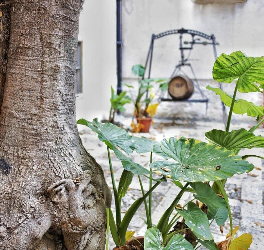 Alcamo酒店住宿-B&B Garibaldi