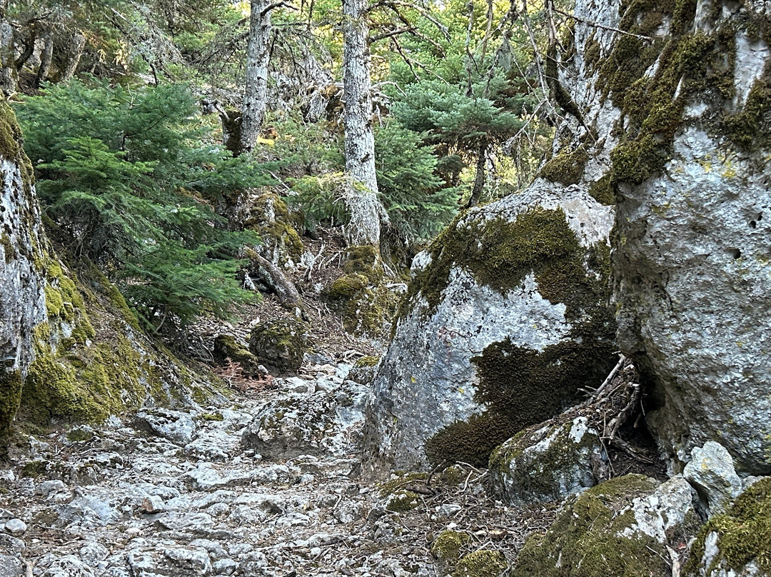 Trekking Hellas Delphi-德尔斐必去景点